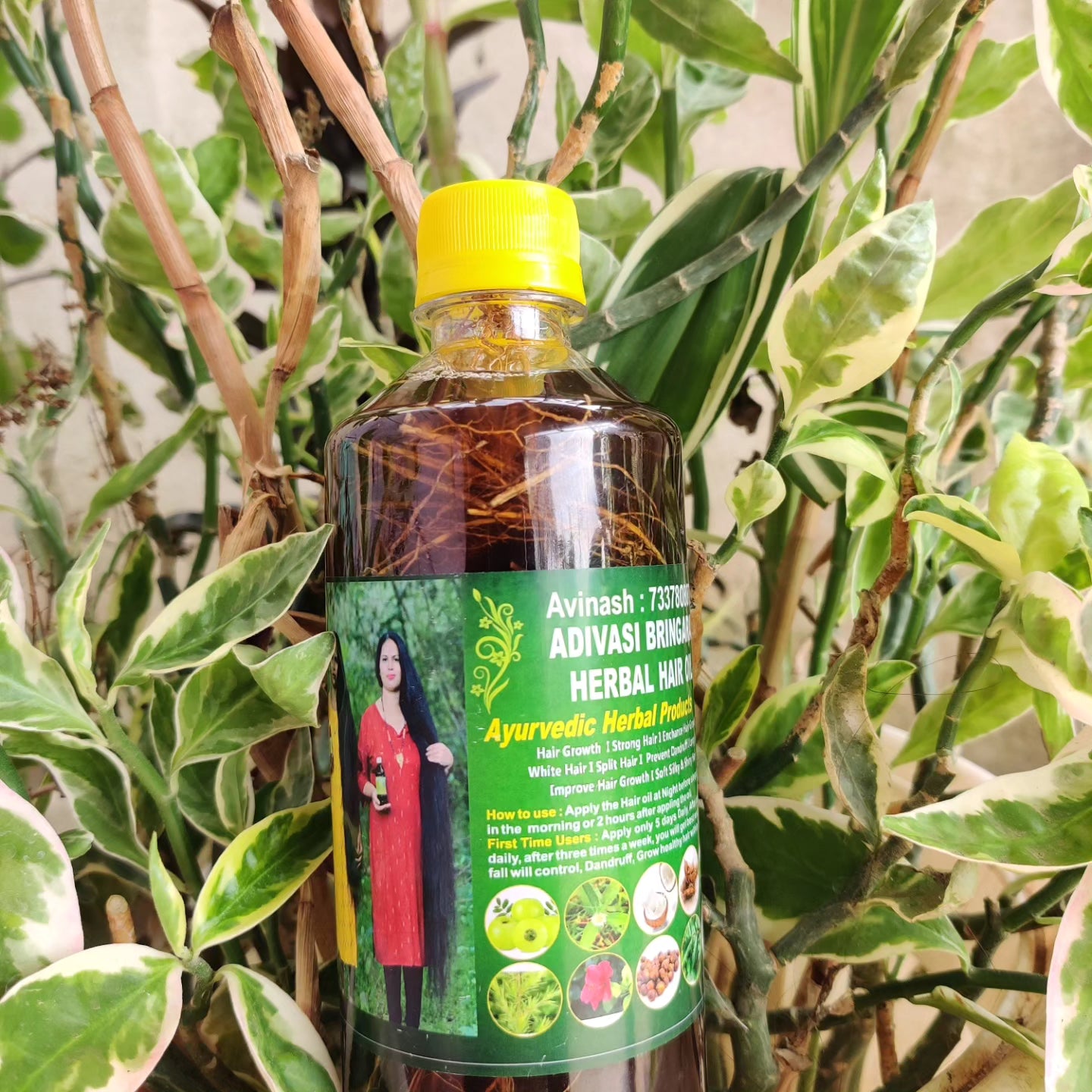 ✅ Karnataka Hakki Pikki  Adivasi Hair  Oil ✅